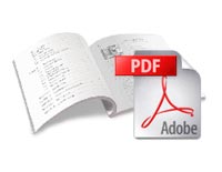 icon_rapport_pdf